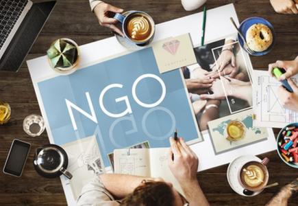 Observer NGOs and the International Climate Negotiations