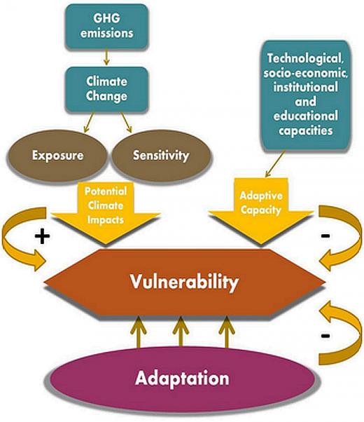 Climate change adaptation reduces vulnerability| The mechanism of climate change creating vulnerability and adaptation trying to reduce vulnerability| Figure 1: Climate change influences both exposure and sensitivity and therefore creates potential climate impacts, which in turn increase vulnerability. Adaptation and adaptive capacity have the potential to reduce vulnerability.| Source: Stéphane Isoard, Torsten Grothmann and Marc Zebisch 2008